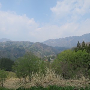 D5C0A1BA-9F5F-4638-BE54-8E4BD70045B5